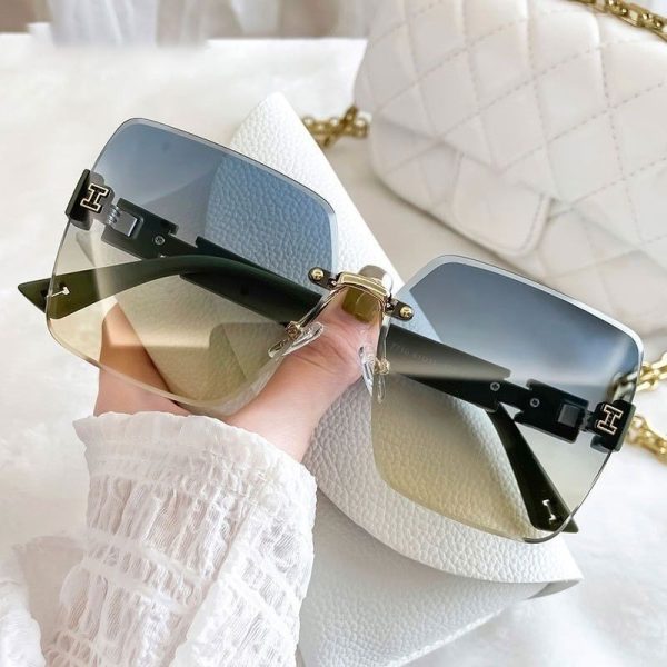 2 color UV resistant trendy large frame women's sunglasses